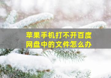 苹果手机打不开百度网盘中的文件怎么办