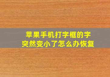 苹果手机打字框的字突然变小了怎么办恢复