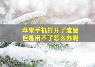 苹果手机打开了流量但是用不了怎么办呢