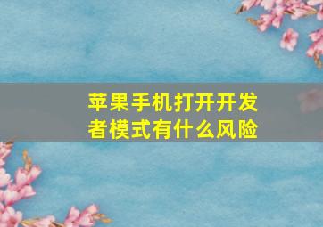 苹果手机打开开发者模式有什么风险