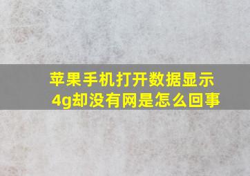 苹果手机打开数据显示4g却没有网是怎么回事