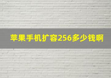 苹果手机扩容256多少钱啊