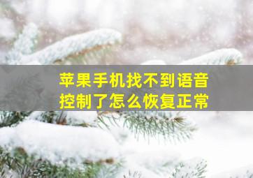 苹果手机找不到语音控制了怎么恢复正常