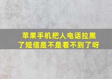 苹果手机把人电话拉黑了短信是不是看不到了呀