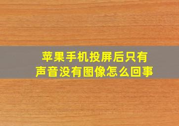 苹果手机投屏后只有声音没有图像怎么回事