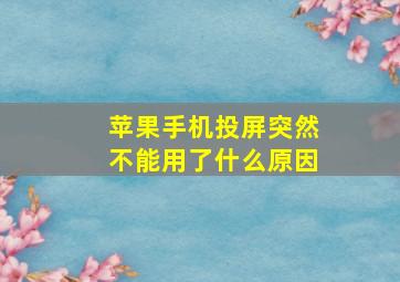 苹果手机投屏突然不能用了什么原因