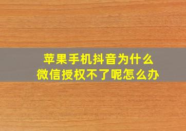 苹果手机抖音为什么微信授权不了呢怎么办