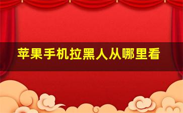 苹果手机拉黑人从哪里看