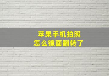 苹果手机拍照怎么镜面翻转了