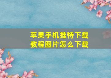 苹果手机推特下载教程图片怎么下载