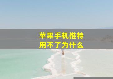 苹果手机推特用不了为什么