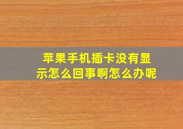 苹果手机插卡没有显示怎么回事啊怎么办呢