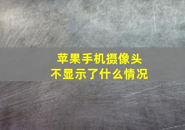 苹果手机摄像头不显示了什么情况