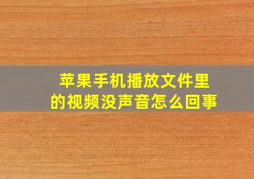 苹果手机播放文件里的视频没声音怎么回事