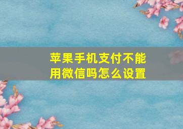 苹果手机支付不能用微信吗怎么设置