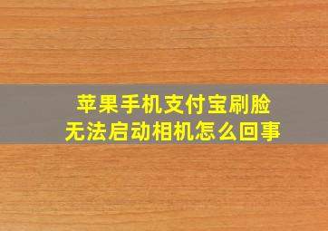 苹果手机支付宝刷脸无法启动相机怎么回事