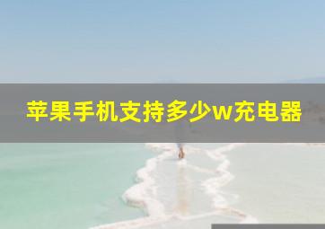 苹果手机支持多少w充电器