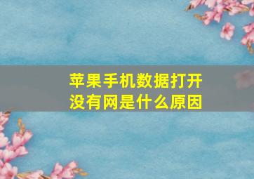 苹果手机数据打开没有网是什么原因