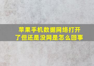 苹果手机数据网络打开了但还是没网是怎么回事