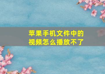 苹果手机文件中的视频怎么播放不了