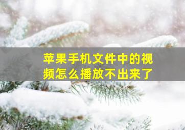 苹果手机文件中的视频怎么播放不出来了