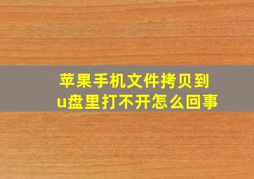 苹果手机文件拷贝到u盘里打不开怎么回事