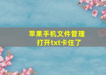 苹果手机文件管理打开txt卡住了