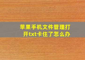 苹果手机文件管理打开txt卡住了怎么办