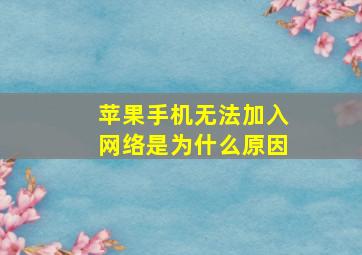 苹果手机无法加入网络是为什么原因