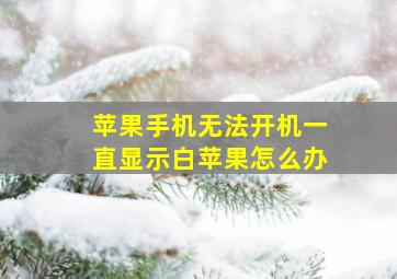 苹果手机无法开机一直显示白苹果怎么办