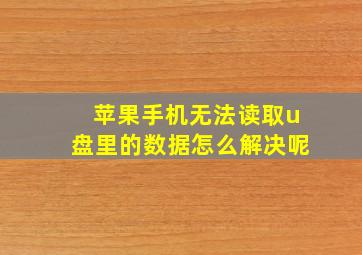 苹果手机无法读取u盘里的数据怎么解决呢