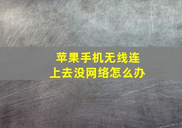 苹果手机无线连上去没网络怎么办