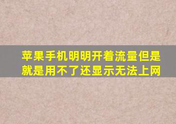 苹果手机明明开着流量但是就是用不了还显示无法上网