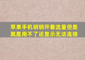 苹果手机明明开着流量但是就是用不了还显示无法连接