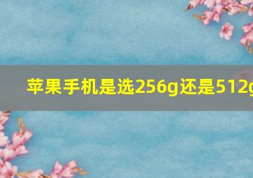 苹果手机是选256g还是512g