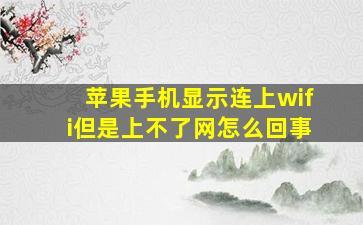 苹果手机显示连上wifi但是上不了网怎么回事