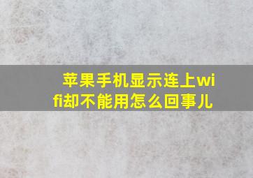 苹果手机显示连上wifi却不能用怎么回事儿