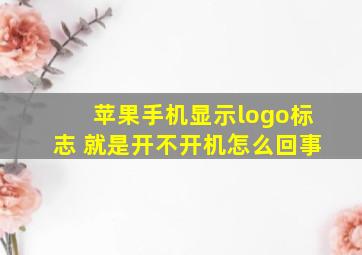 苹果手机显示logo标志 就是开不开机怎么回事