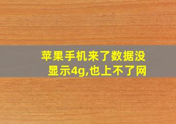 苹果手机来了数据没显示4g,也上不了网