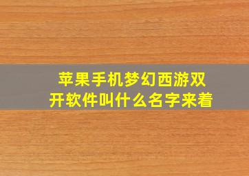 苹果手机梦幻西游双开软件叫什么名字来着