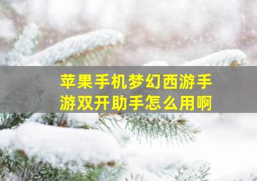 苹果手机梦幻西游手游双开助手怎么用啊