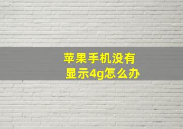 苹果手机没有显示4g怎么办