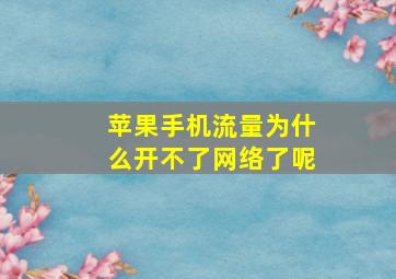 苹果手机流量为什么开不了网络了呢