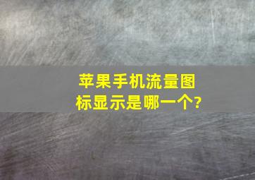 苹果手机流量图标显示是哪一个?