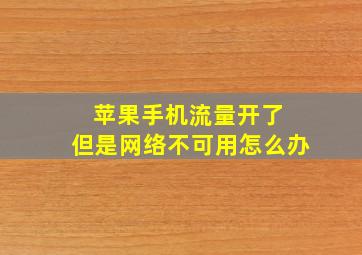 苹果手机流量开了 但是网络不可用怎么办