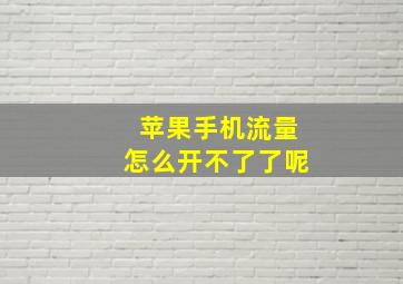 苹果手机流量怎么开不了了呢