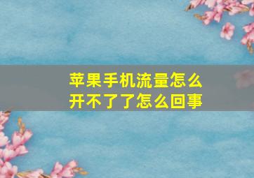 苹果手机流量怎么开不了了怎么回事