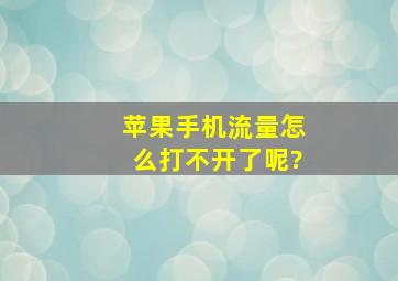 苹果手机流量怎么打不开了呢?