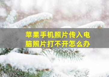 苹果手机照片传入电脑照片打不开怎么办