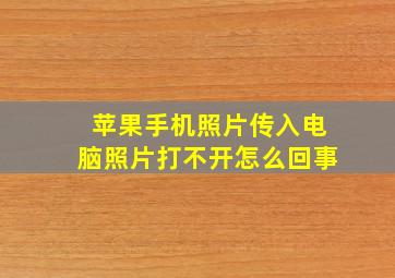 苹果手机照片传入电脑照片打不开怎么回事